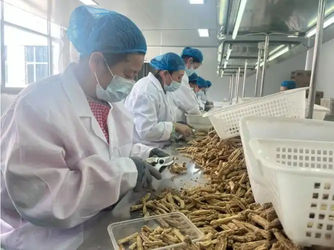 Shuntai (GZ) Health Care Industry Co.,LTD