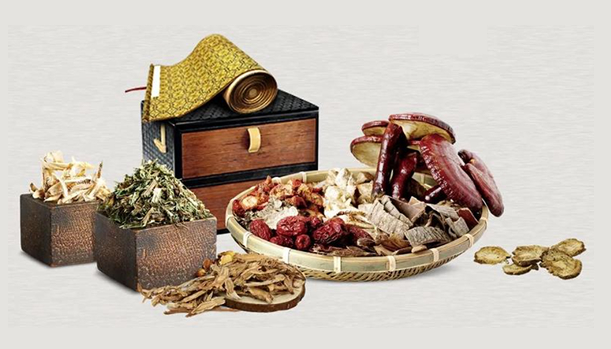 Quality Chinese Herbal Medicines factory