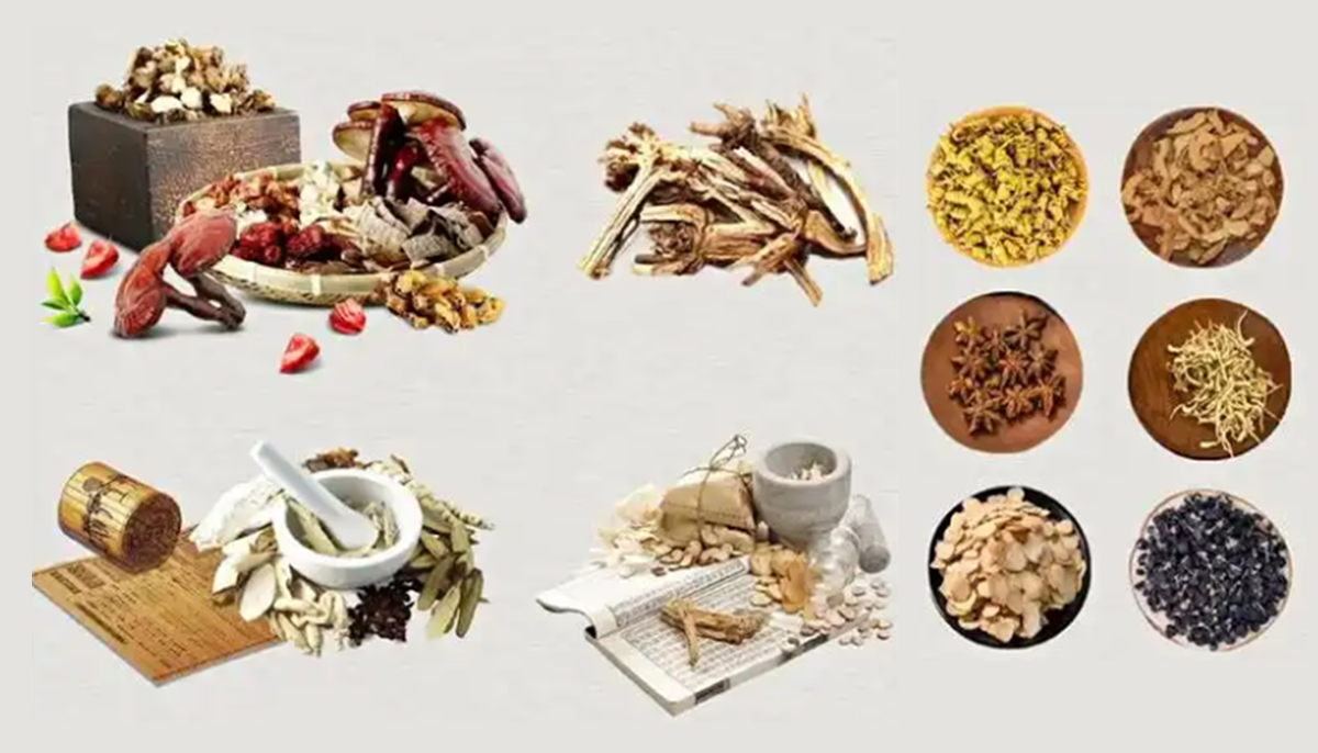 Quality Chinese Herbal Medicines factory