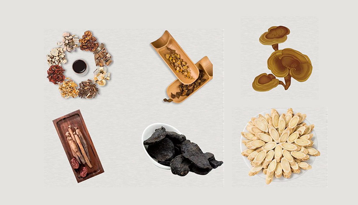 Quality Chinese Herbal Medicines factory