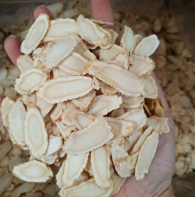 Organic American Ginseng Tea HACCP FDA HALAL Ginseng Root Tea