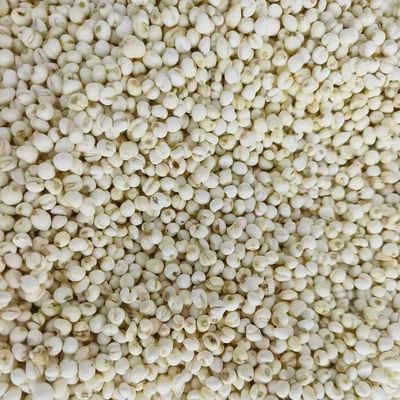 Organic Fritillaria Ussuriensis Maxim Chinese Herbs ISO9001 Certificate