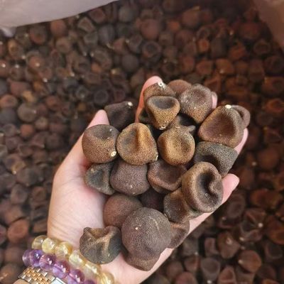 Natural Cultivation Dried Citrus Peel Chinese Medicine For Health