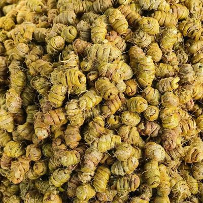 Dried Dendrobium Nobile Lindl Chinese Herbal Supplements ISO9001 Certificate