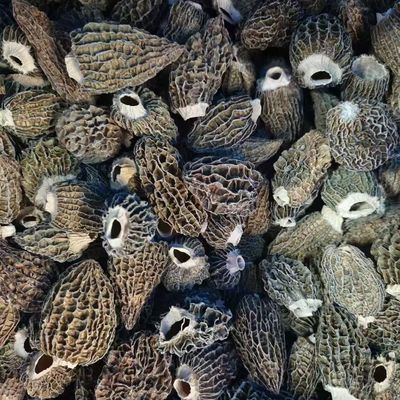 Natural Cultivation Morchella Esculenta Morel Mushroom ISO9001 Certified Dual-Purpose Edible and Medicinal Chinese Herbal Supplement