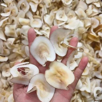 Natural Flavors Sugar Palm Dried Sea Coconut Health Food Ingredients