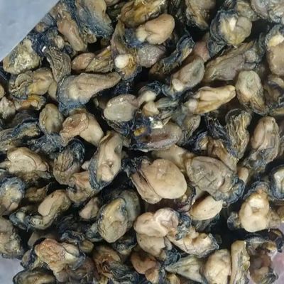 Chinese Dried Oyster Dry Oysters Dried Seafood Fresh Healthy