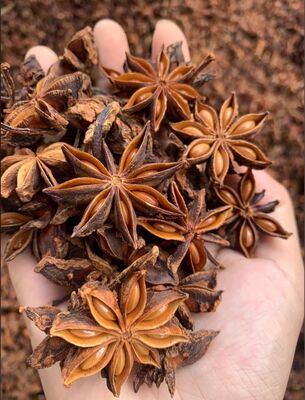 Whole Star Anise Chinese Spice & Herb  Naturally Grown, Intact Pods with Rich Aroma