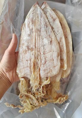 Buy Premium Quality Dry Cuttlefish Fast Delivery Available at Wholesale Price Perfect for Restaurants and Seafood Lovers