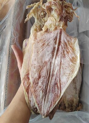 Premium Nutritious Dried Cuttlefish with 18 Months Shelf Life and High-quality Protein for Restaurants and Seafood Lovers