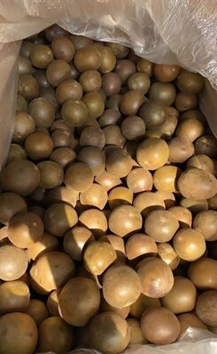 Natural Healthy Monk Fruit Seeds and Luo Han Guo Tea - ISO9001 Certified for Clearing Heat and Moistening Lungs