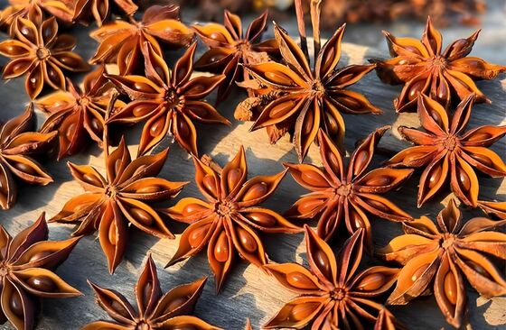 Naturally Grown Star Anise Chinese Spice with Rich Aroma and 100% Pure Natural Quality
