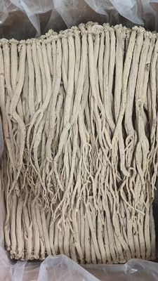 Dang Shen Codonopsis Pilosula Root Chinese Herbal Medicines