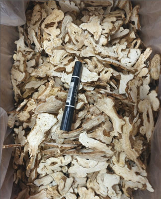 Atractylodes Macrocephala Koidz Chinese Herbs Atractylodes Bai Zhu