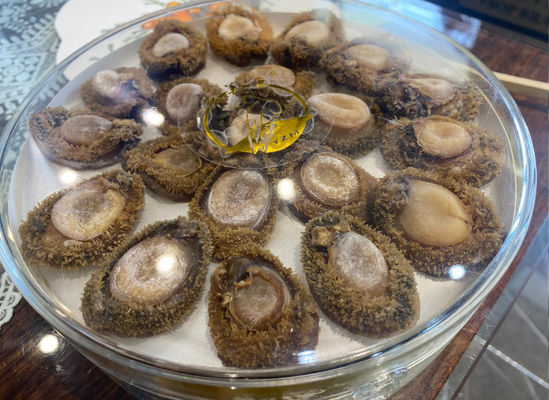 Fresh Natural Dried Abalone Dry Seafood Dry Or Cool Place Storage