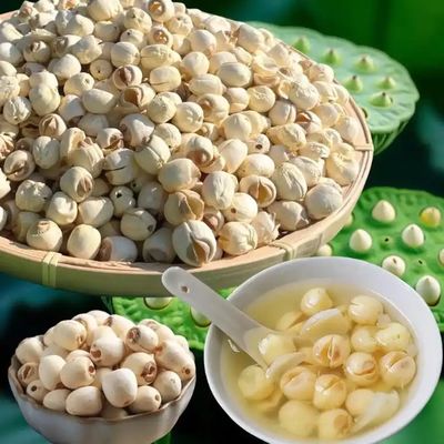 Pure Handmade White Lotus Seed Without Sulfur Fumigation Chinese Herbal Medicines