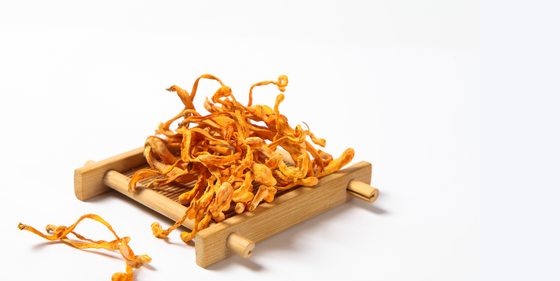 High Quality Dry Cordyceps Militaris Extract Cordiceps Cordyceps Sinensis Cordyceps Sinensis Mushroom