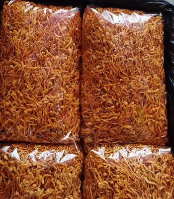High Quality Dry Cordyceps Militaris Extract Cordiceps Cordyceps Sinensis Cordyceps Sinensis Mushroom