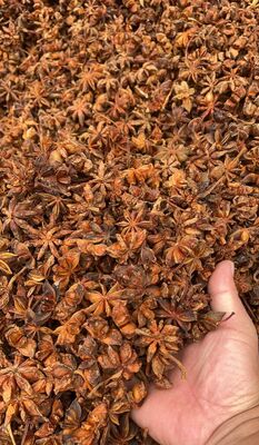 Whole Star Anise Chinese Spice & Herb  Naturally Grown, Intact Pods with Rich Aroma