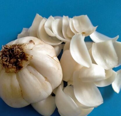 ISO9001 Certified Dried Lily Bulb for Medicinal and Dietary Use to Nourish Yin and Moistens Lungs