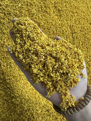Best Quality Factory Supply Bulk Dried Osmanthus Fragrans Flower for Drinking